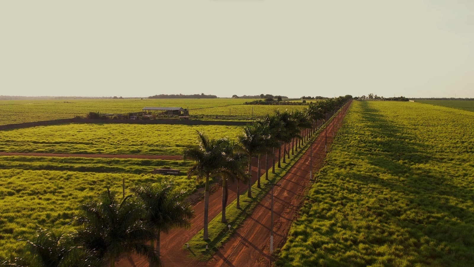 Localização
