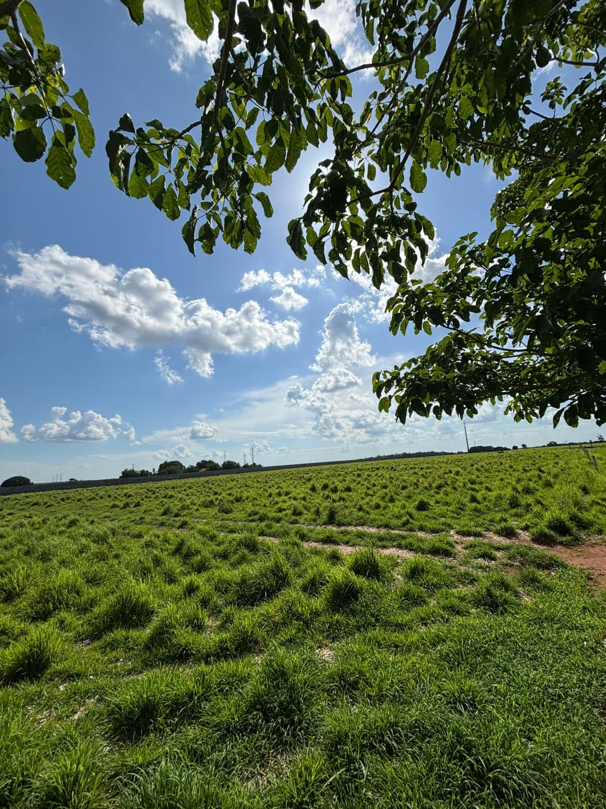 Espaço